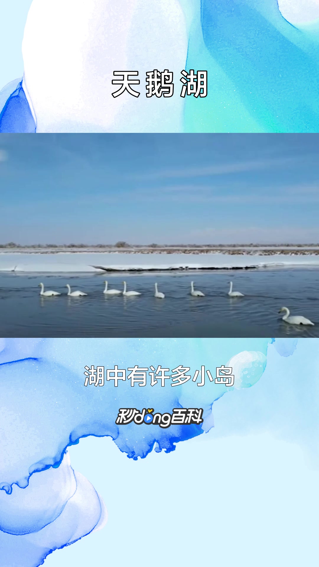 一分钟了解天鹅湖(新疆和静县湖泊)