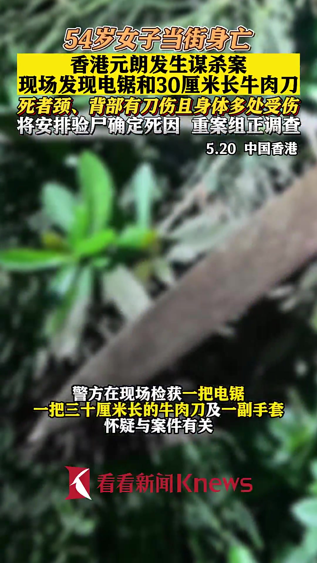 香港元朗发生谋杀案 现场发现电锯和牛肉刀