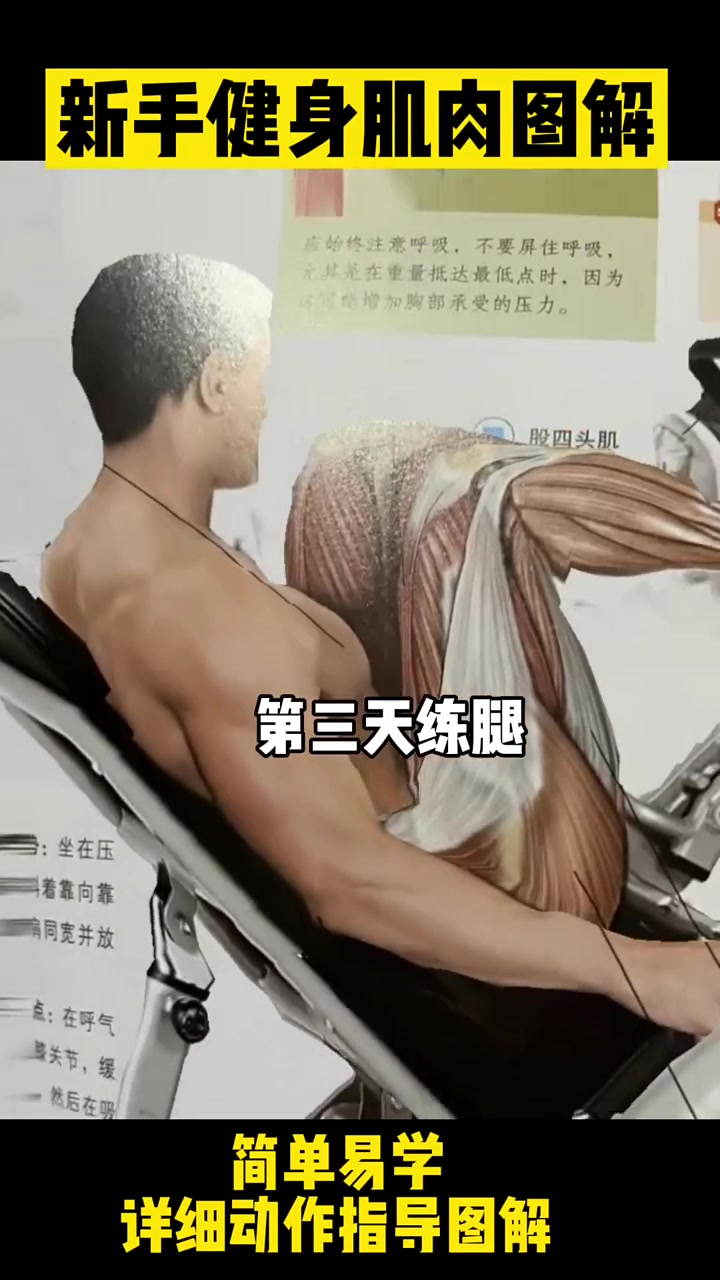 这是我的一周训练计划安排,你们呢?推荐这本肌肉训练图解新手上路