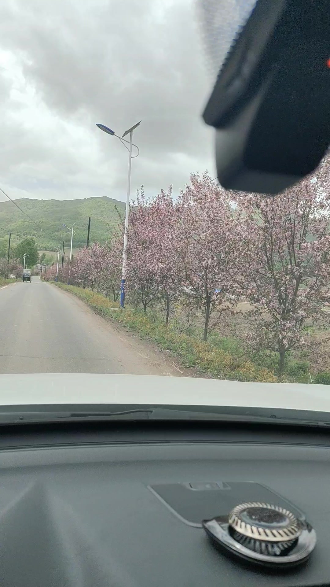 去往石角钓鱼的路上风景美如画