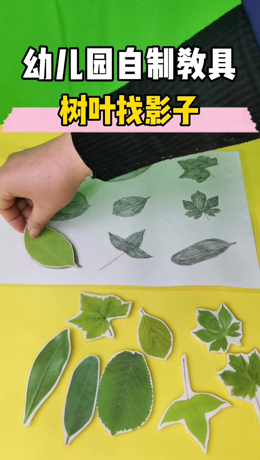 幼儿园自制玩教具:树叶找影子 幼师 手工