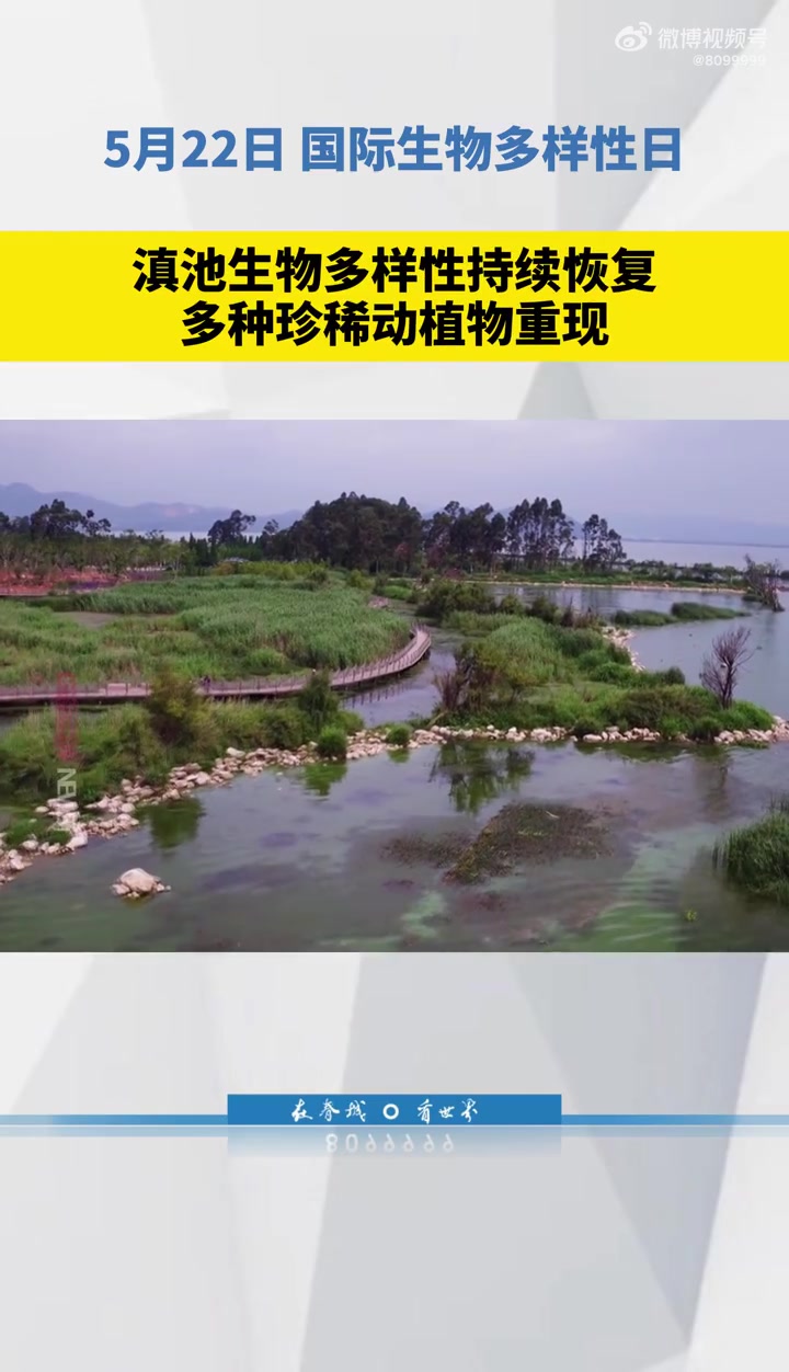 国际生物多样性日「太美!滇池生物多样性持续恢复 多种珍稀动植物重现」最新的生态环境监测数据