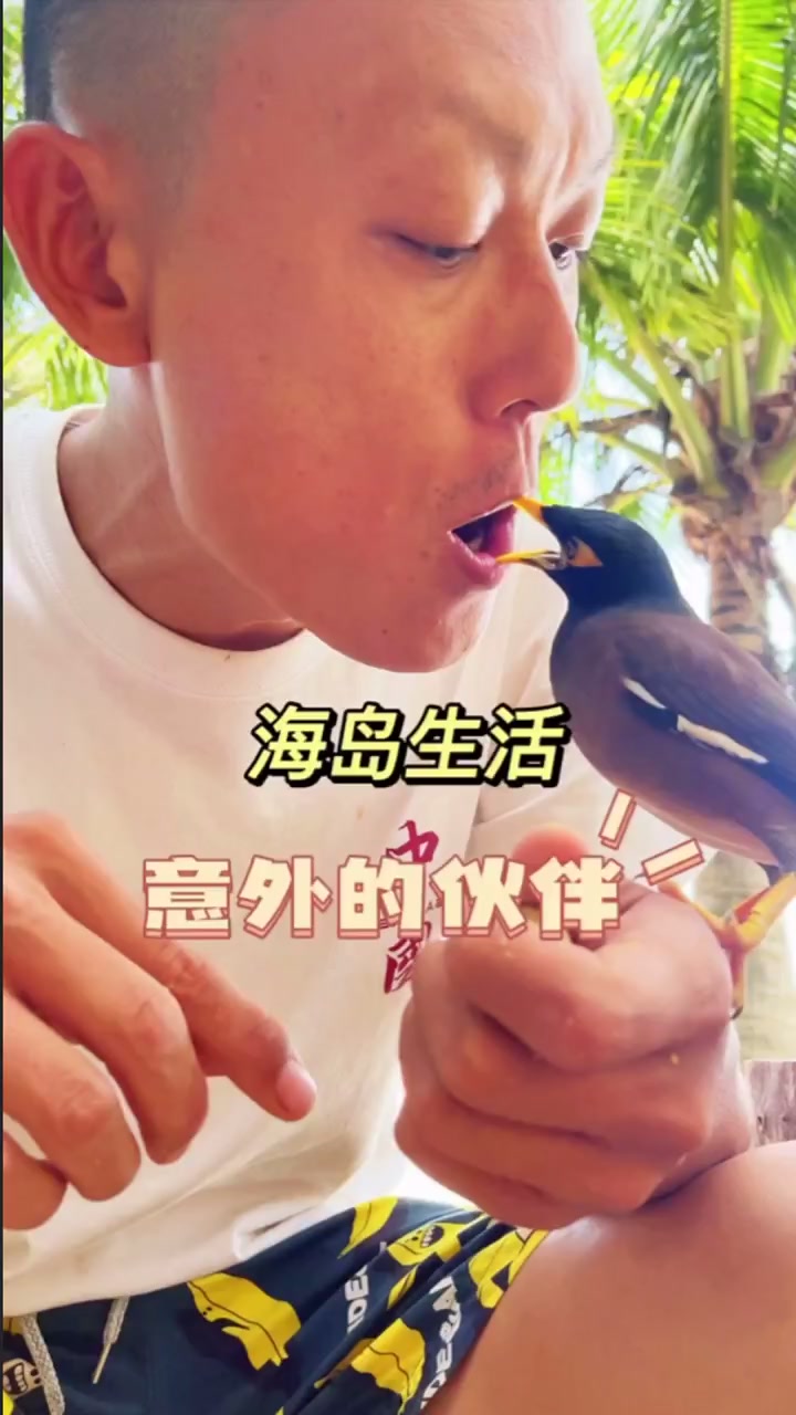 自制古法鱼勾钓鱼