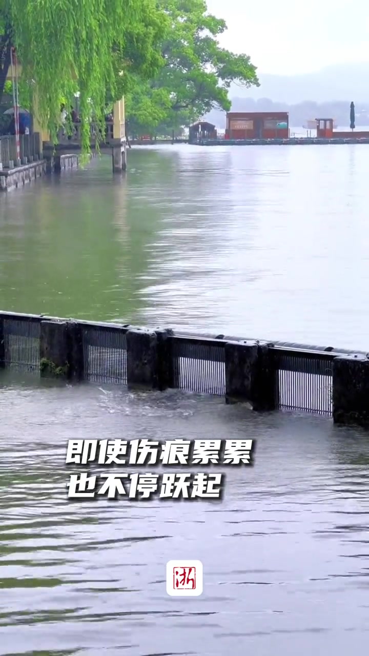 雨后西湖再现“鱼跃龙门” 愿每一次努力都不会被辜负(素材来自:)见者好运