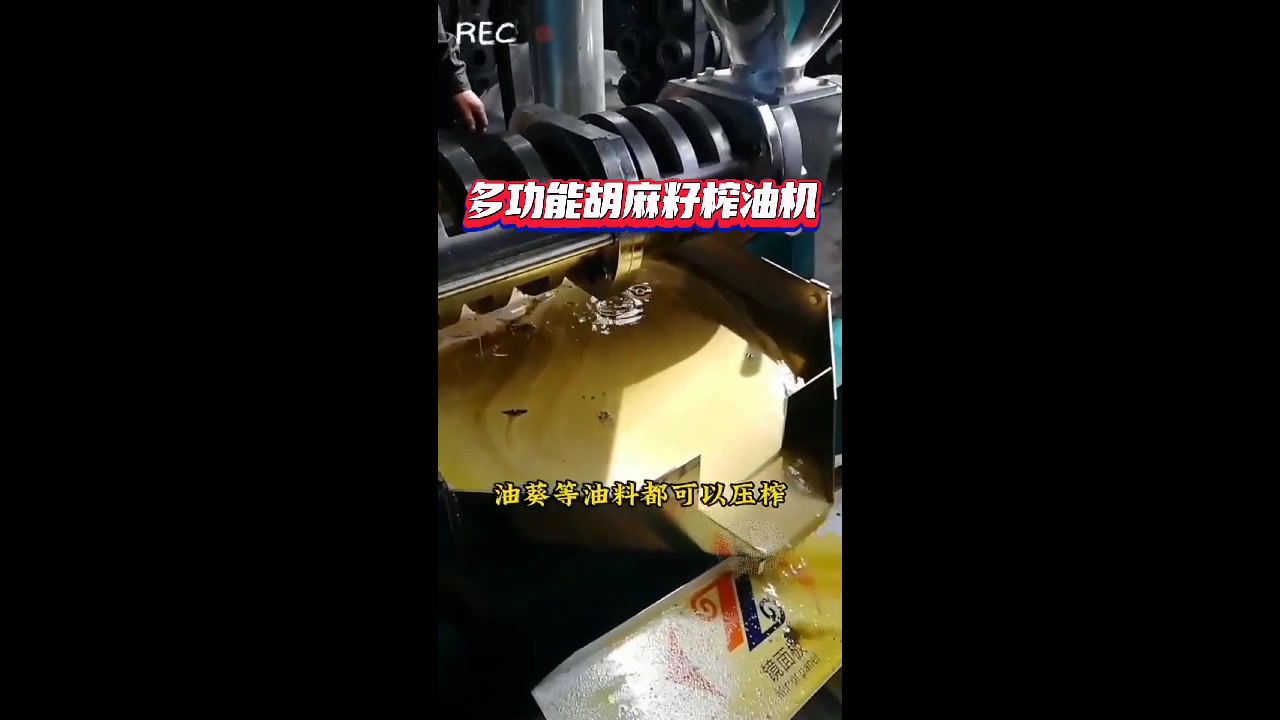 油菜籽榨油机多少米一台?想开榨油坊的老板不妨看看这条视频