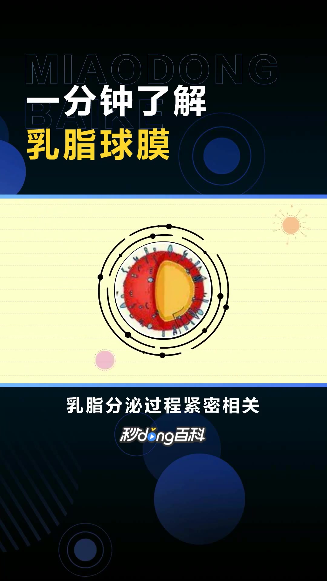 乳脂球膜:母乳中的脑部营养突破性发现