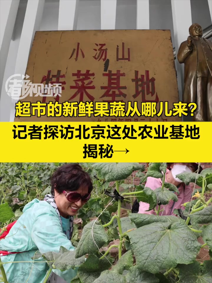 超市的新鲜果蔬从哪儿来?记者探访北京这处农业基地,揭秘→