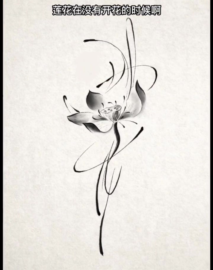 莲花!莲花纹身图案 纹身设计 大连纹身 +小助手