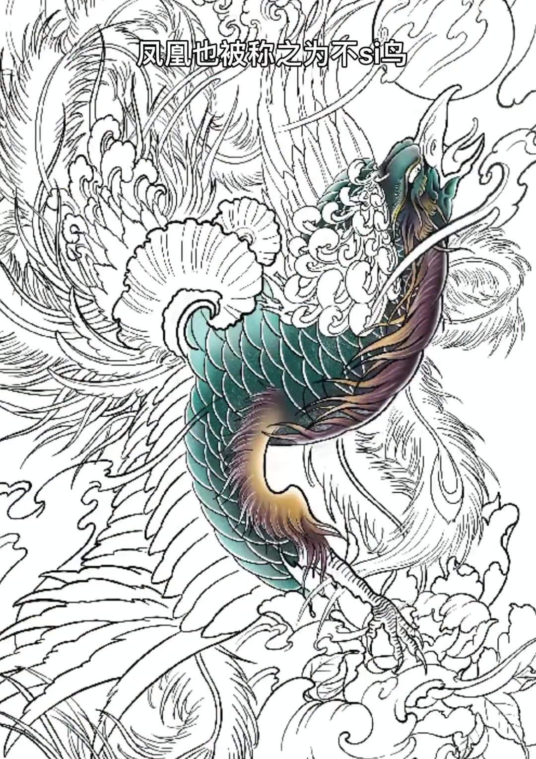 你喜欢凤凰吗?纹身手稿 纹身图案 老传统纹身 +小助手