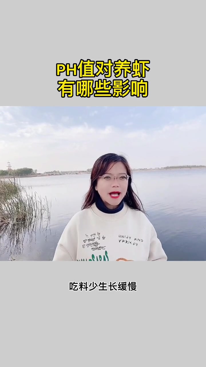 PH值对冬棚虾有哪些影响 南美白对虾养殖 鱼虾蟹养殖 冬棚虾养殖 高密度养殖 四大家鱼养殖