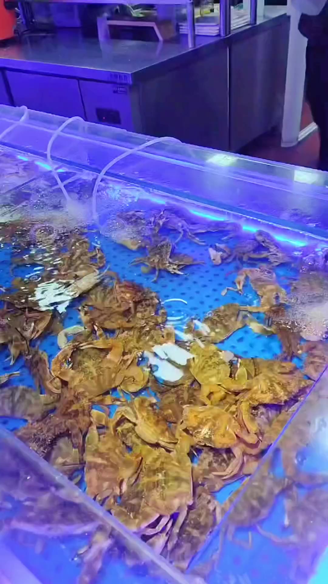 探店达人 同城美食 自助餐 同城精选 海鲜美食 荣成集杰尚品自助团购单人仅59.9,只卖5