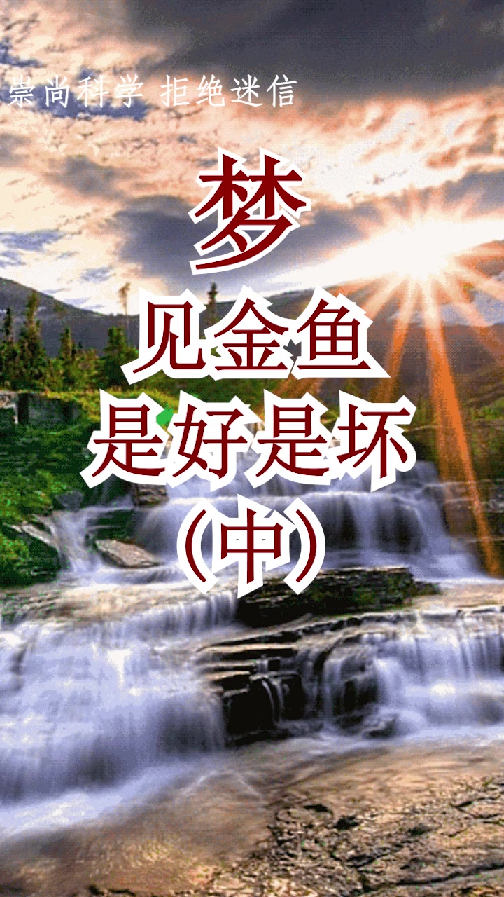 梦见金鱼死了,提醒你要做好破财免灾的心理准备