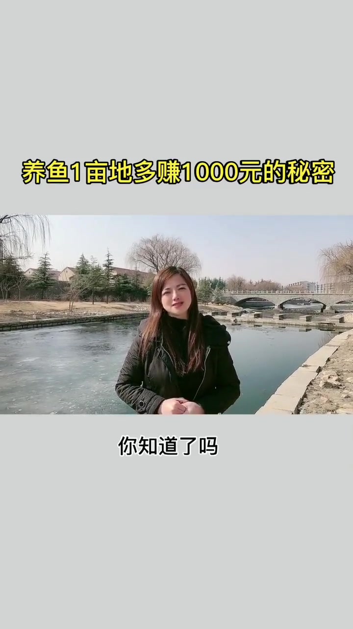 养鱼1亩多赚1000元的秘密 南美白对虾养殖 海参养殖 四大家鱼养殖 加州鲈鱼养殖 高密度