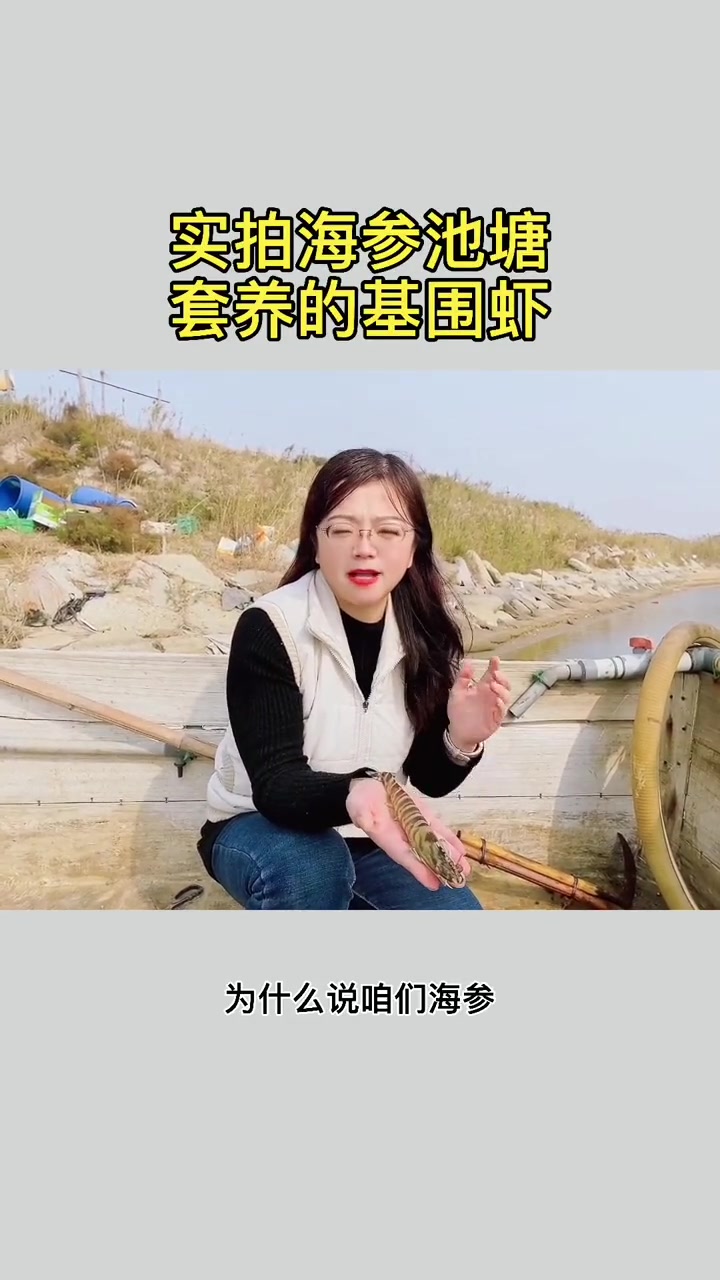 海参套养基围虾双双高产 南美白对虾养殖 基围虾养殖 海参养殖 大棚海参 小龙虾养殖