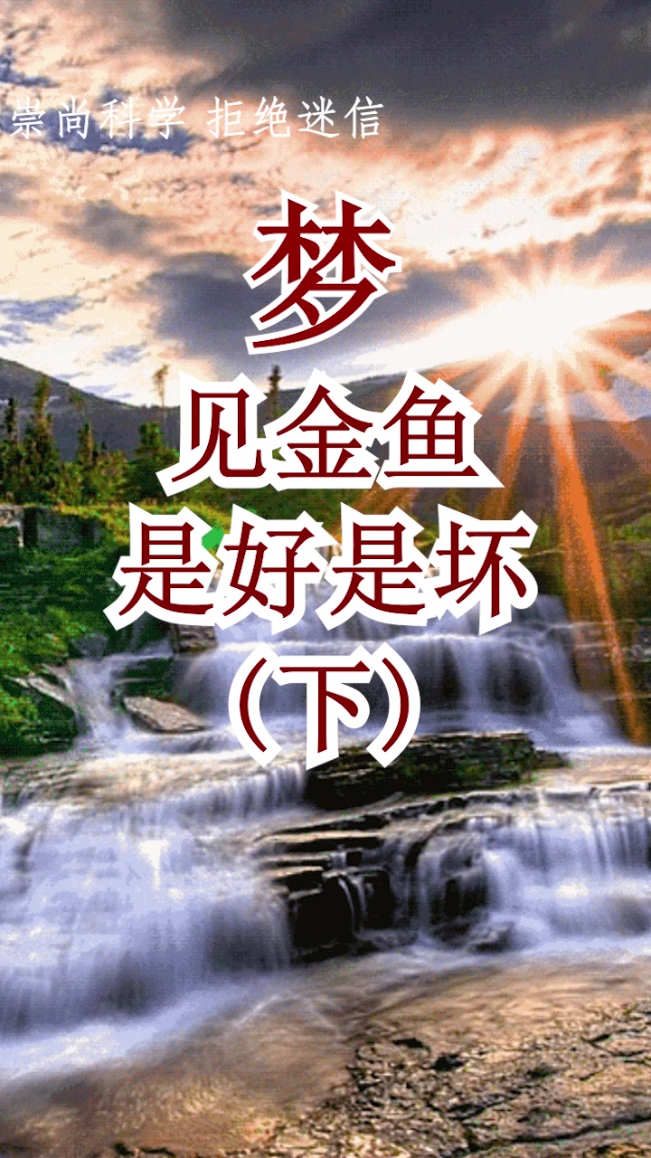 梦见金鱼死了,提醒你要做好破财免灾的心理准备