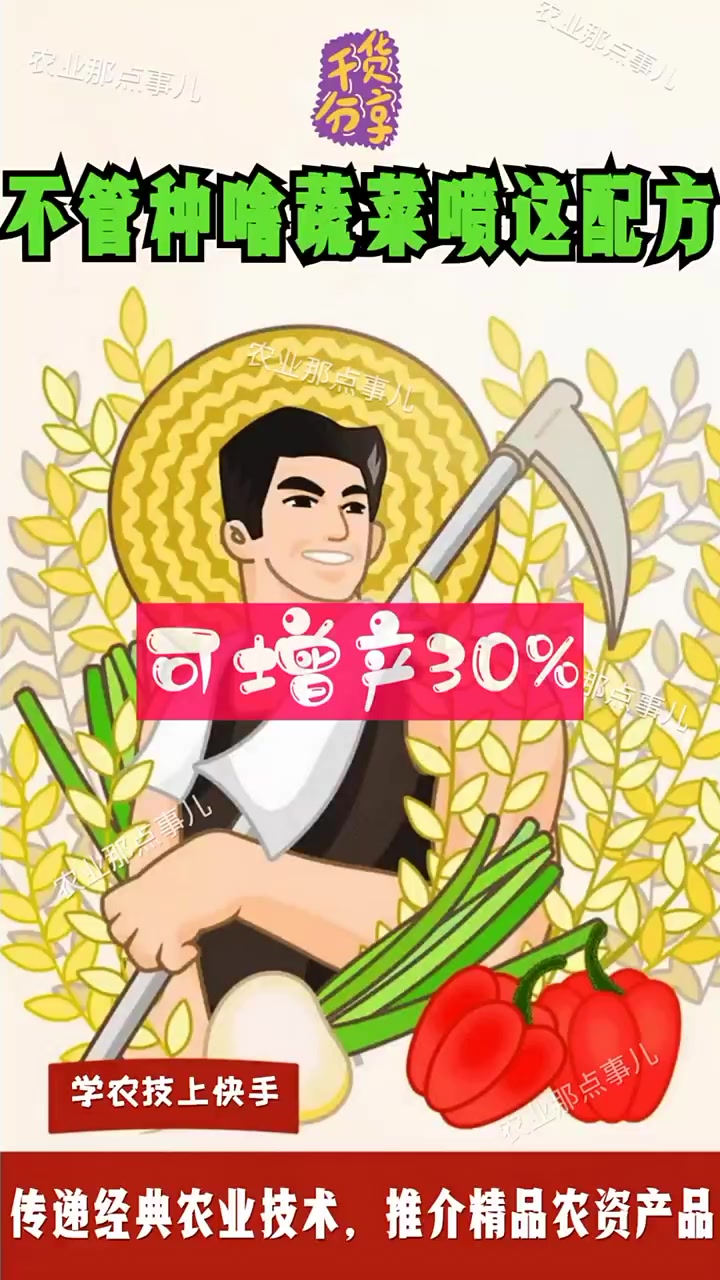 不管种啥菜,用这个试试喷施叶片,增产30%不是问题