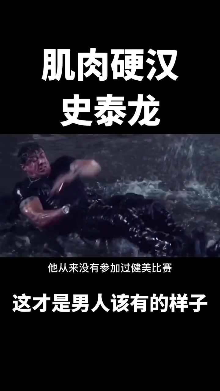 你知道史泰龙吗