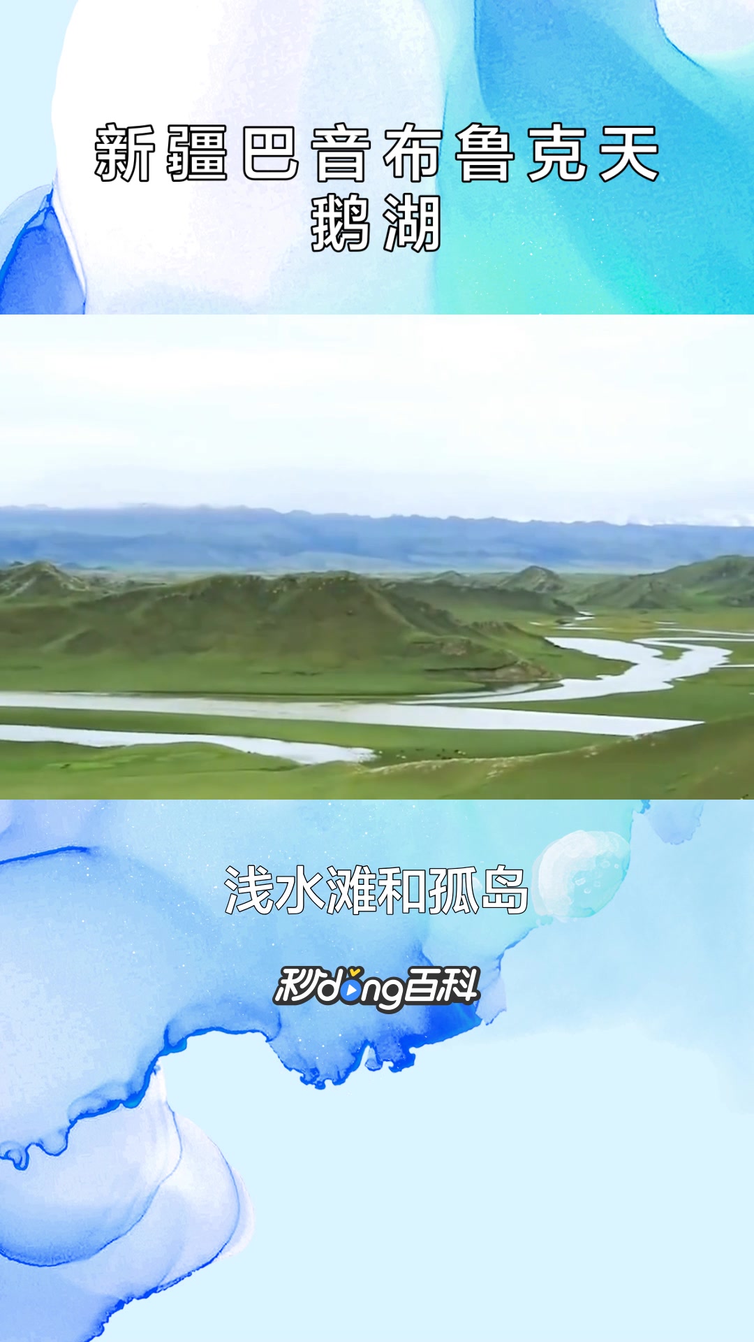 一分钟了解新疆巴音布鲁克天鹅湖