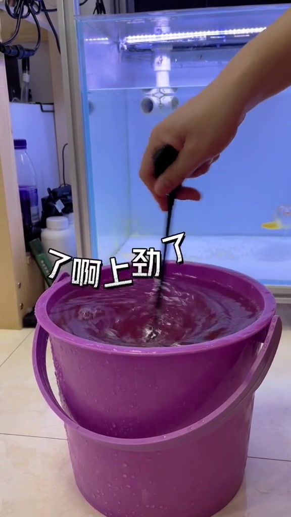 也许是女王大帆可以继续清道夫的使命,所以它也先走一步了