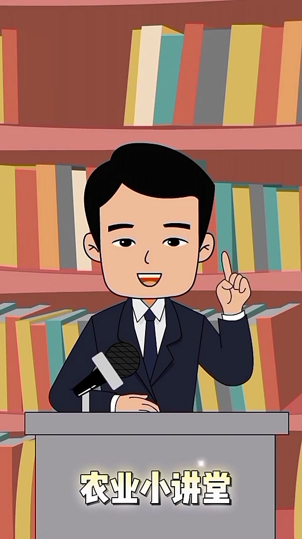 种有机绿色蔬菜首选——茶麸,既可以当肥料又可以防虫杀菌,小家庭种菜的也不要错过哦!