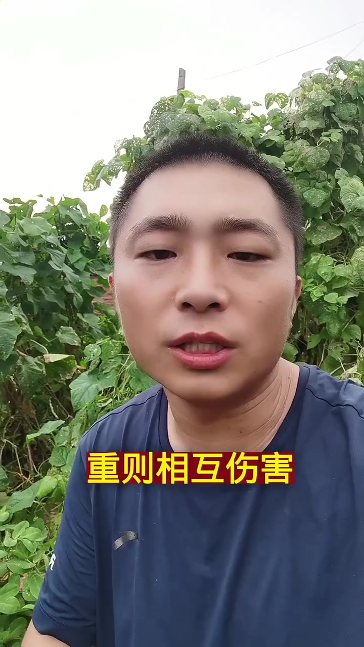这些蔬菜种在一起会互相影响,导致病害