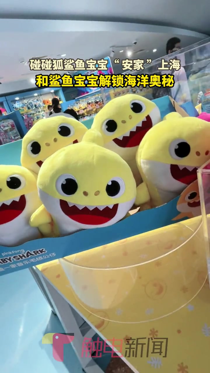 碰碰狐鲨鱼宝宝“ 安家 ”上海,和鲨鱼宝宝解锁海洋奥秘 周末去哪玩 上海海昌海洋公园 鲨鱼