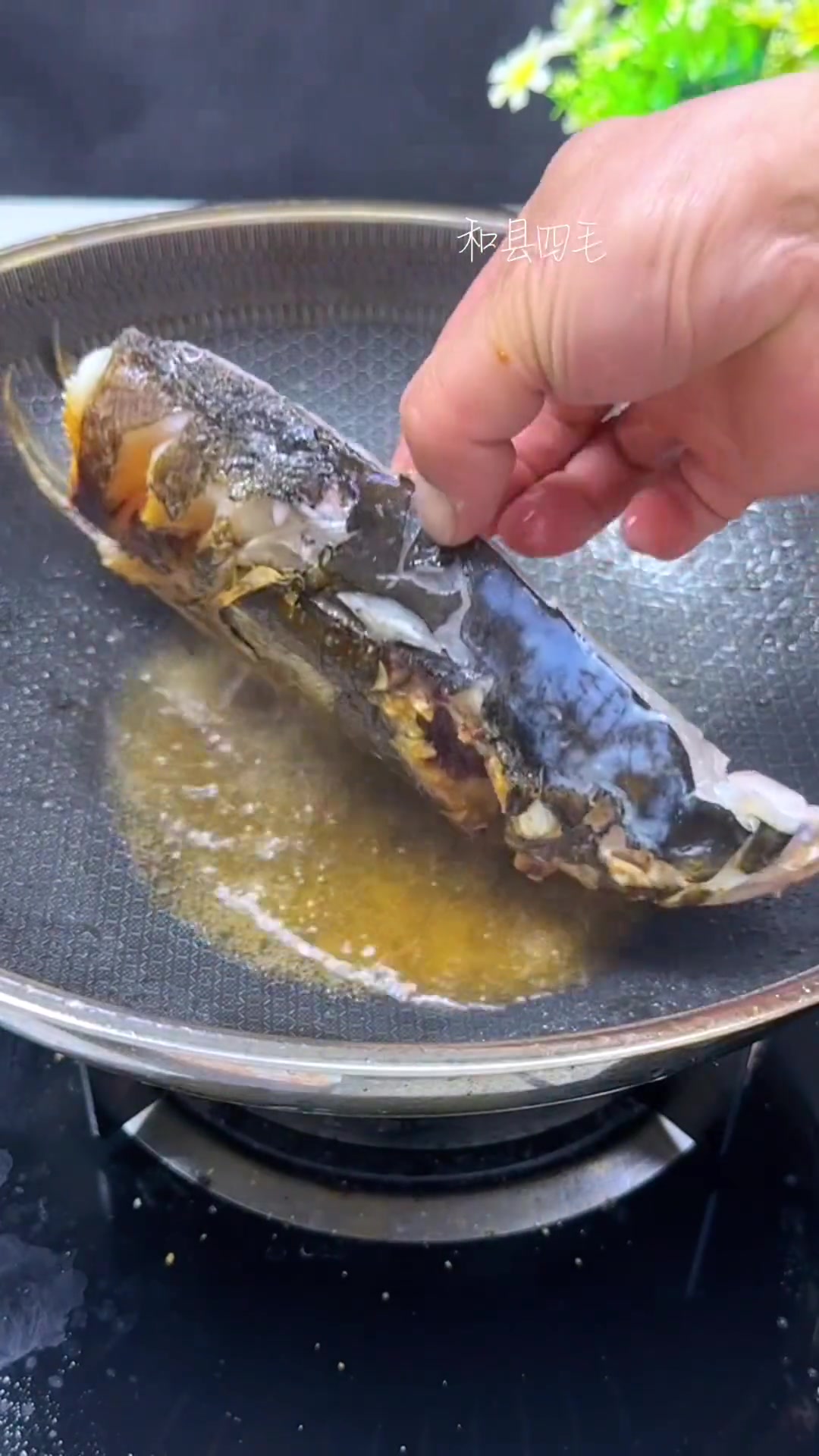 鱼头浓汤 一日三餐人间烟火简单而美味 汤鲜味美 原生态原滋味