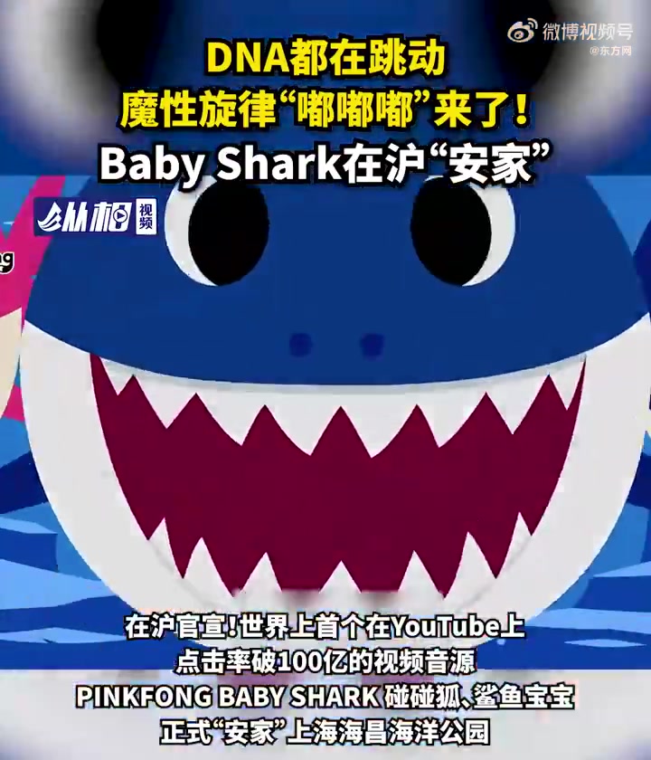 「DNA都在跳动,魔性旋律“嘟嘟嘟”来了!Baby Shark安家海昌海洋公园」满脑子都是