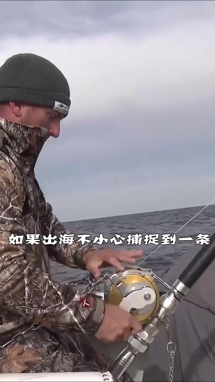 世界上最昂贵的鱼