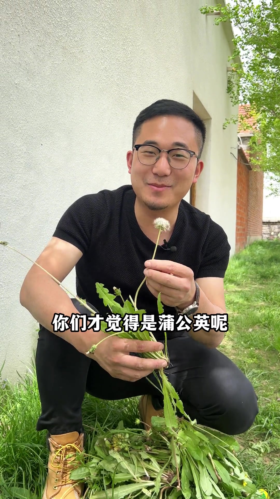 第45集|有了自己的小菜园,妥妥的实现了蔬菜自由 我的乡村生活 农村生活 自家菜园子 我的