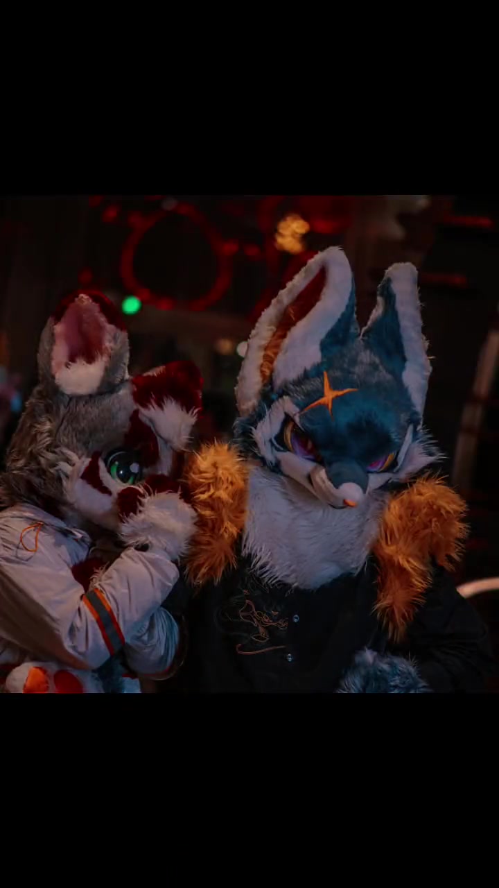 小黄 狮汁 是帅气虎鲸狼!兽装fursuit furry兽人 兽装 oufc有一个兽聚 可