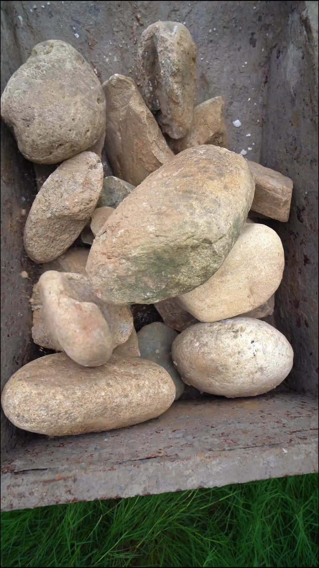 第36集|用我建造失败的鱼池,告诉你,农村院子里到底应该怎样做个生态鱼池 农村生活 小院改