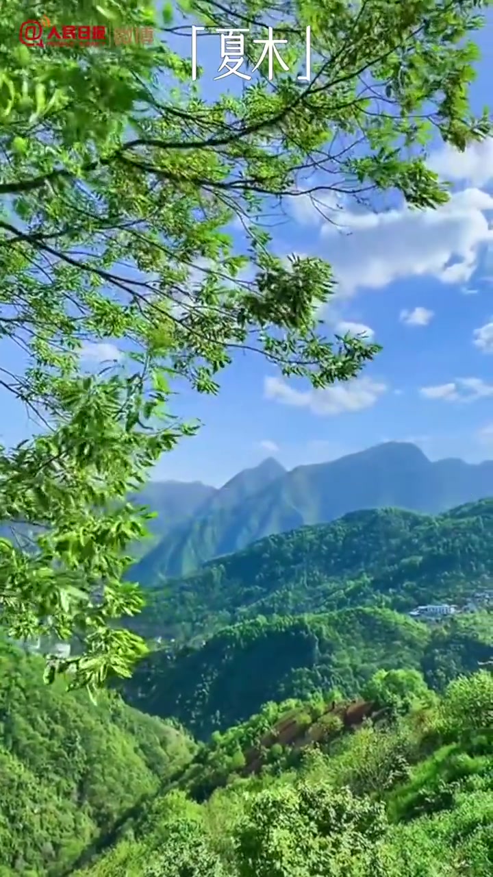 「古风之美!24句诗词品味夏天「心」」如果用一句话形容夏天,你会怎么说?古人笔下的夏,有“