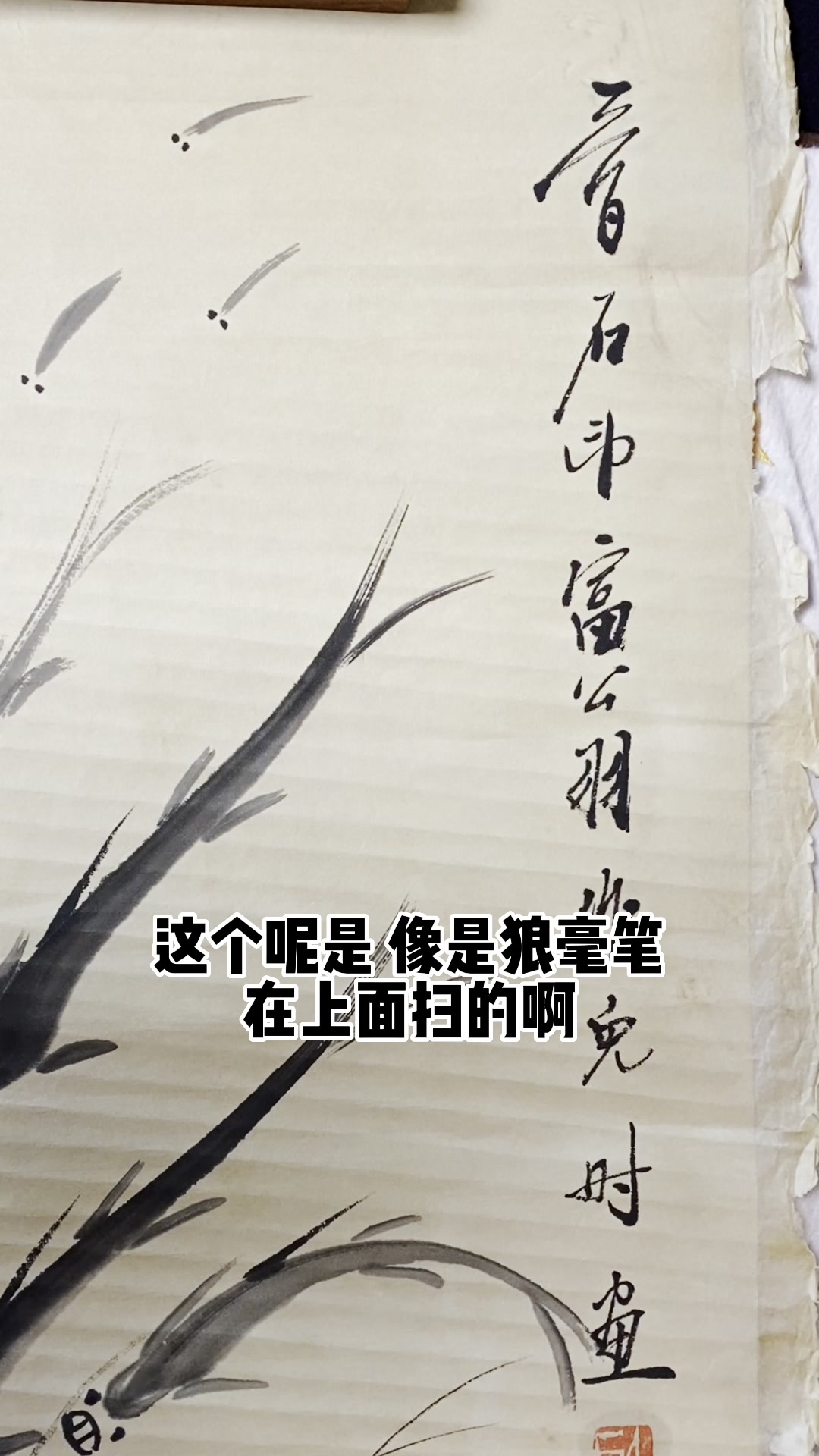 齐白石画作《鱼虾欢嬉图》,首博杨宝杰老师鉴定讲解