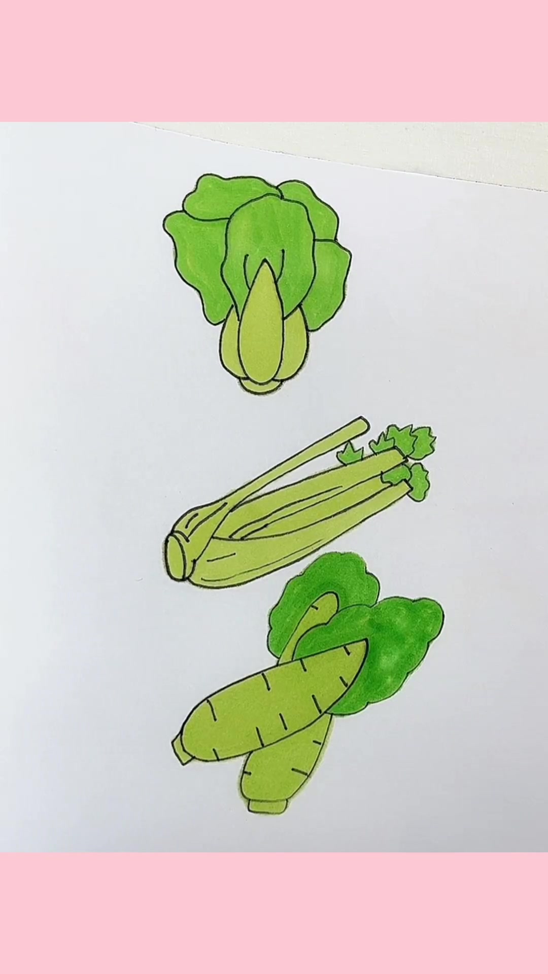 莴苣简笔画 简笔画 每日一画
