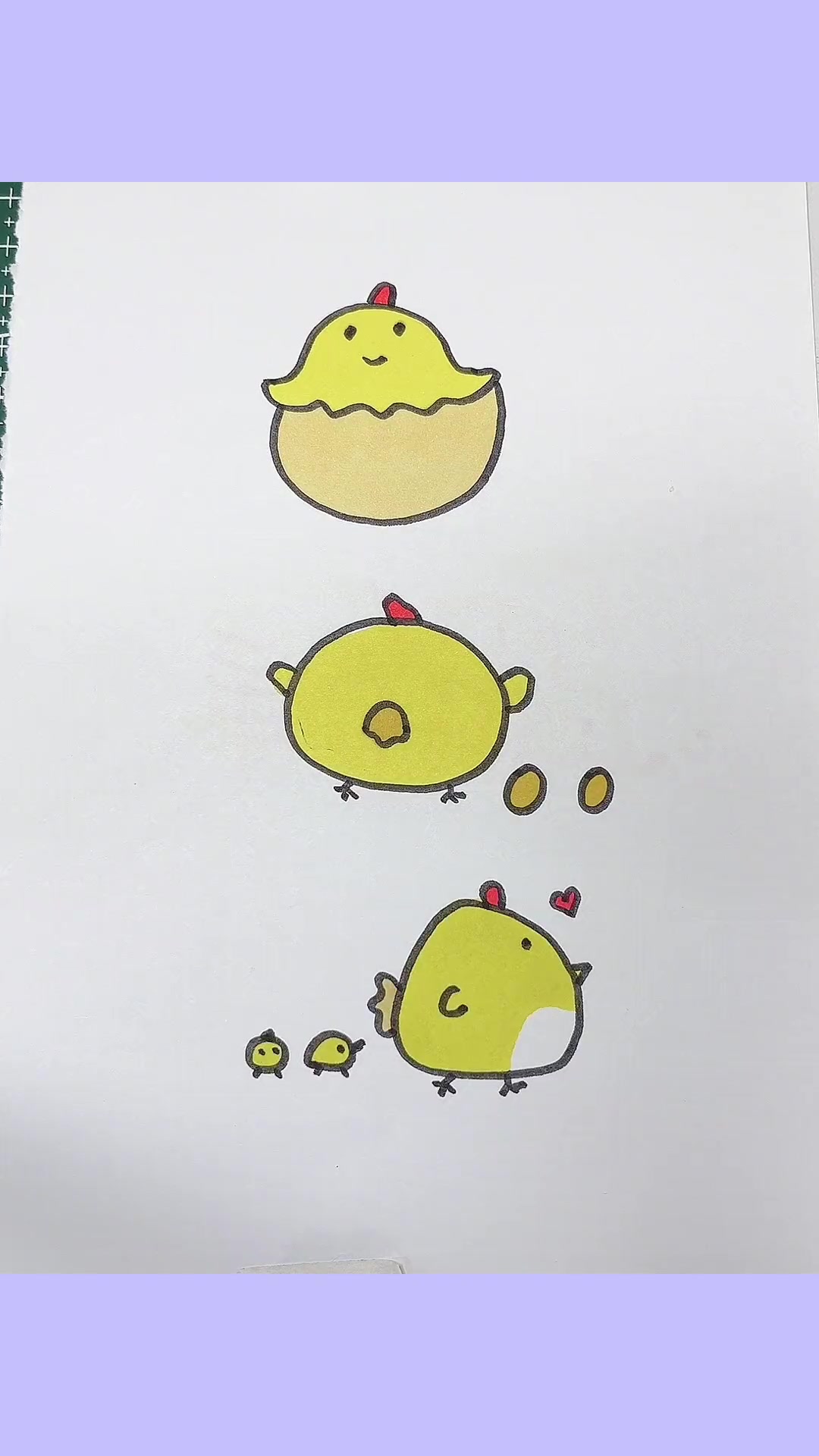 小鸡成长记 简笔画