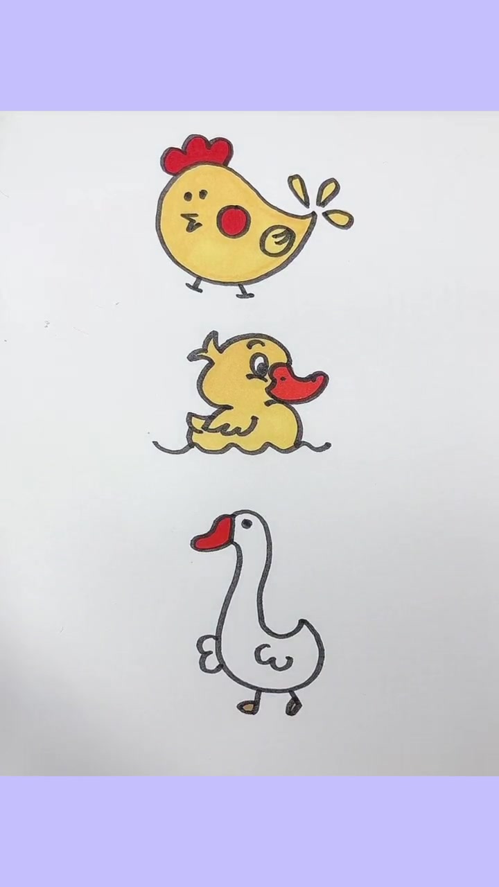 鸡鸭鹅简笔画 画个小画 简笔画简笔画