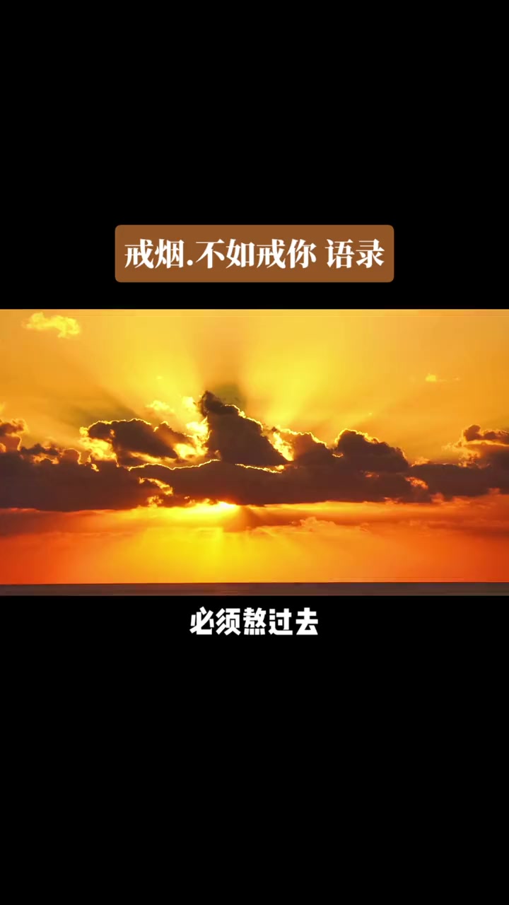 内容过于真实 扎心语录 情感 情感共鸣 只有经历过的人才会懂 伤感语录 伤感 必须熬过去 