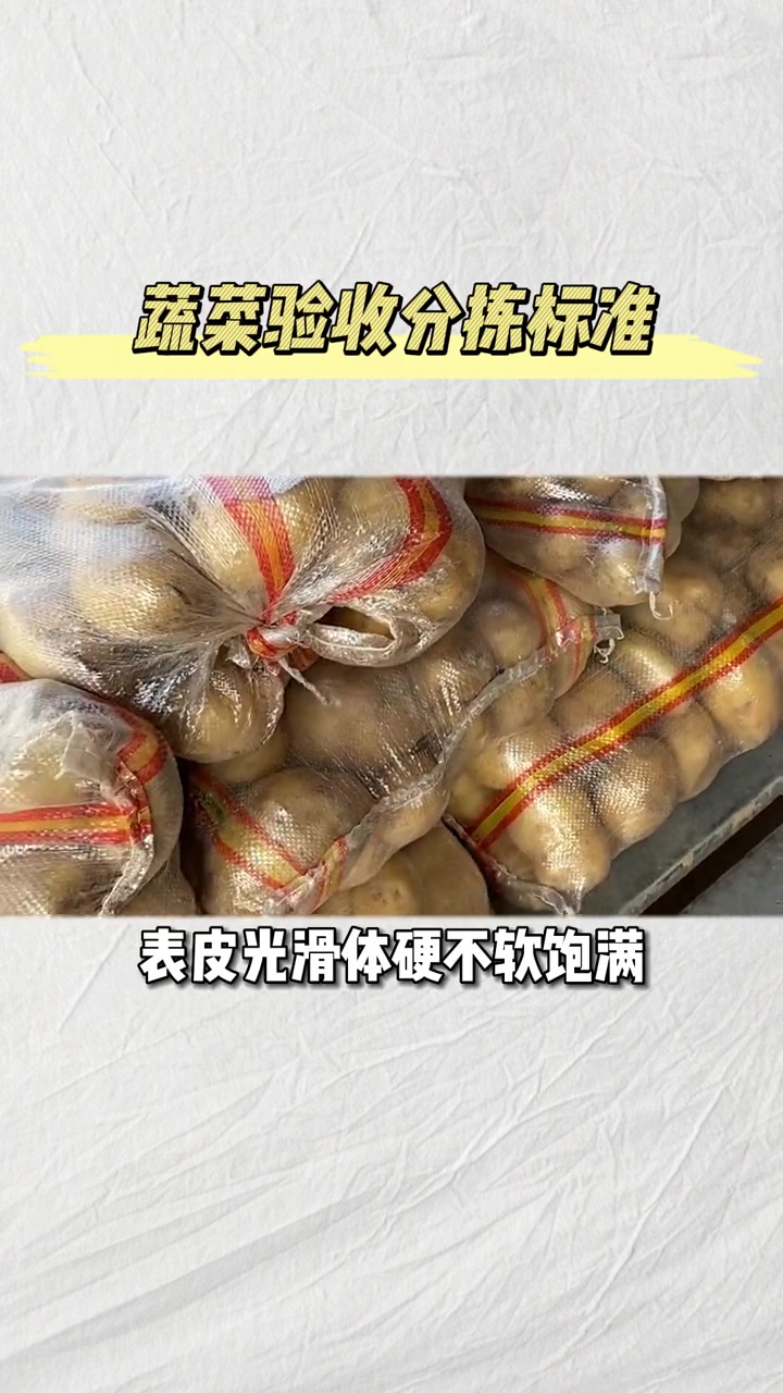 生鲜配送公司蔬菜验收分拣标准 生鲜配送 蔬菜配送 食材配送 生鲜配送创业 蔬菜搬运工