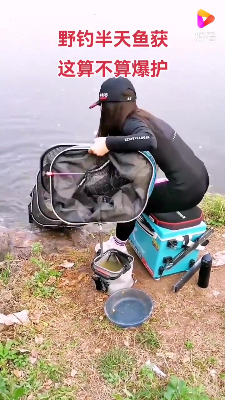 贝贝鱼护提不动了