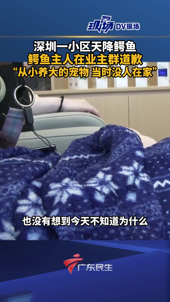 深圳一小区天降鳄鱼后续 鳄鱼主人道歉,摔成重伤的鳄鱼已被养殖场接走