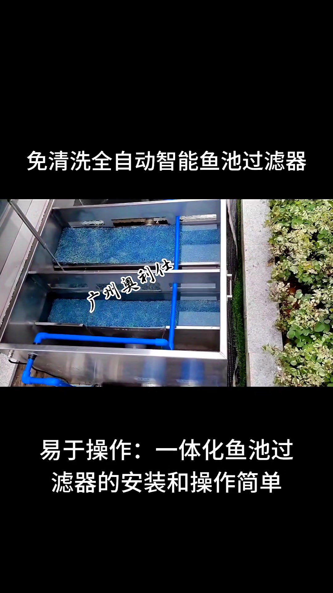 自动反冲洗、排污,无需人工打理的全自动鱼池过滤器。