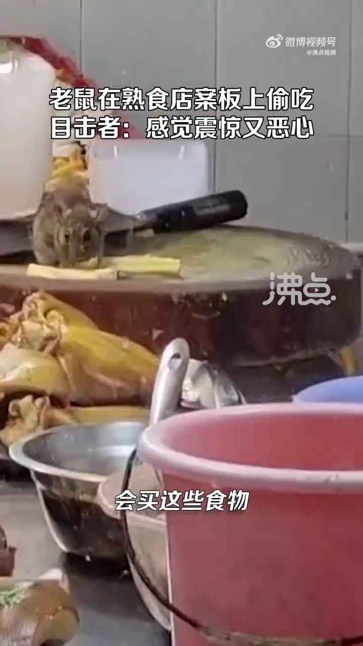 「老鼠在熟食店案板上疯狂偷吃 目击者:老板休市不在 感觉震惊又恶心」5月30日,广东佛山,