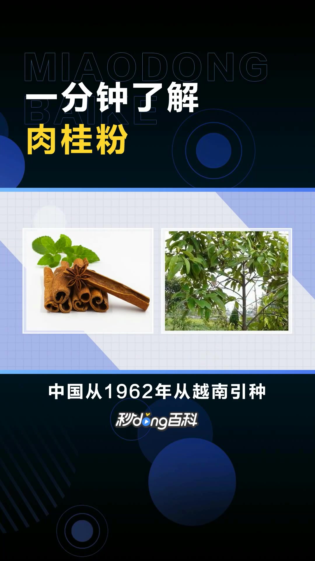 肉桂粉:具有降糖降血脂作用的粉末