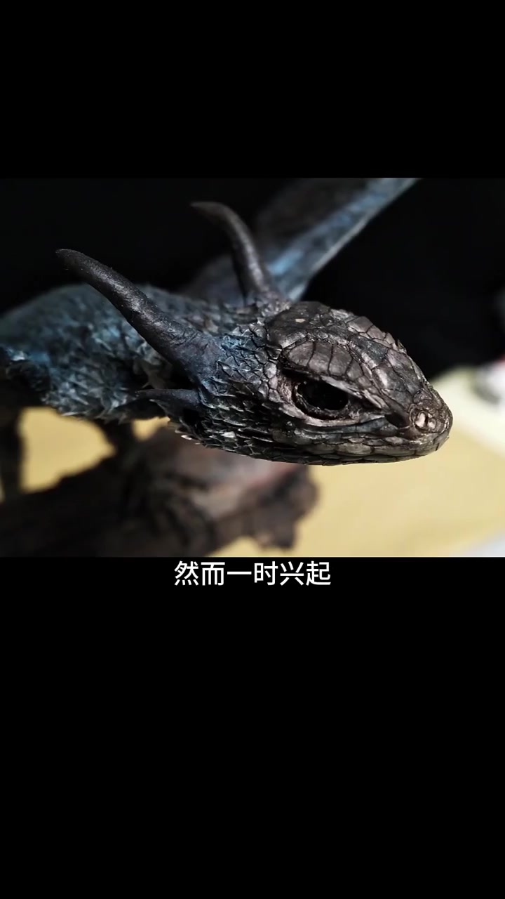 好好的标本博主,最后却成了手工博主!
