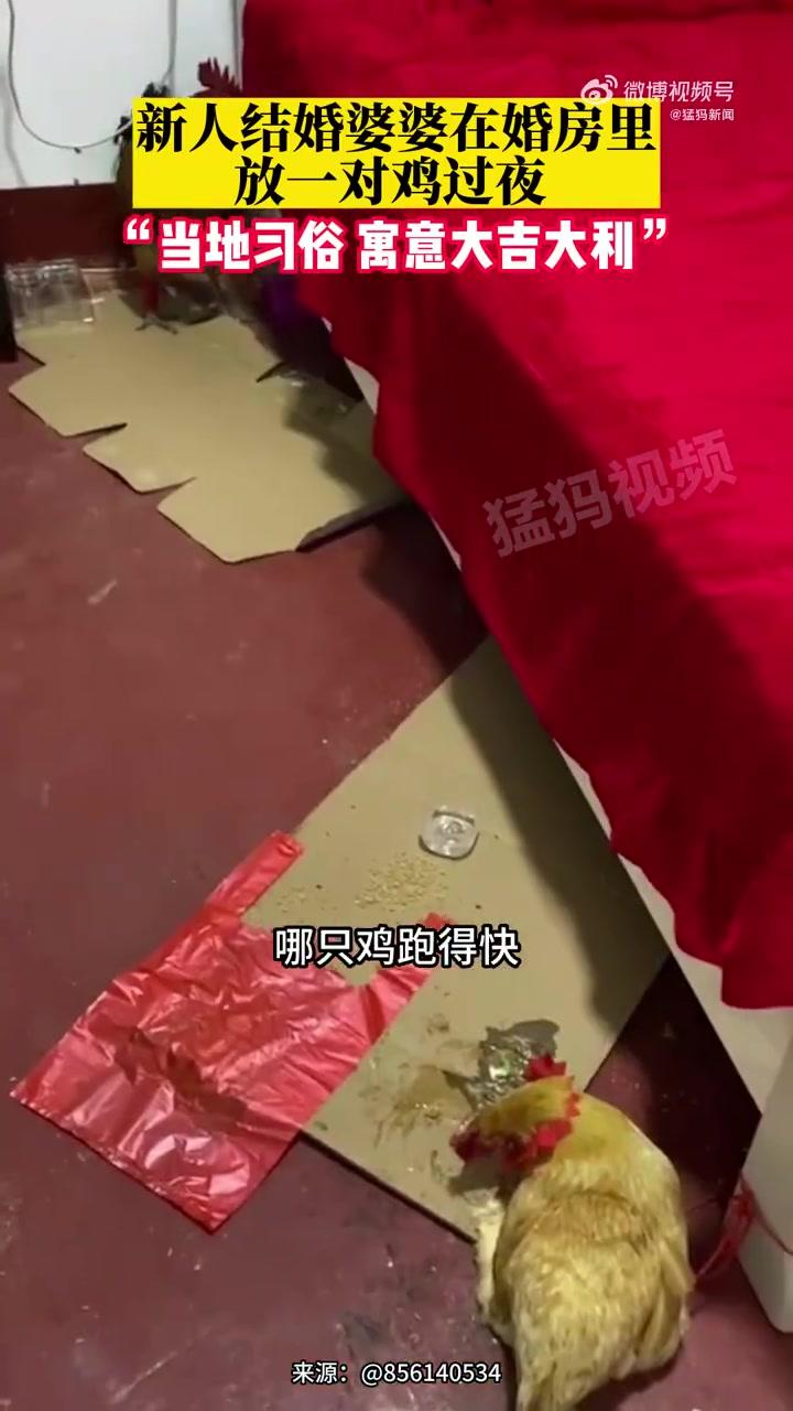 「新人结婚婆婆在婚房里放一对鸡过夜 新娘:当地习俗如此,寓意大吉大利」5月29日,山东枣庄