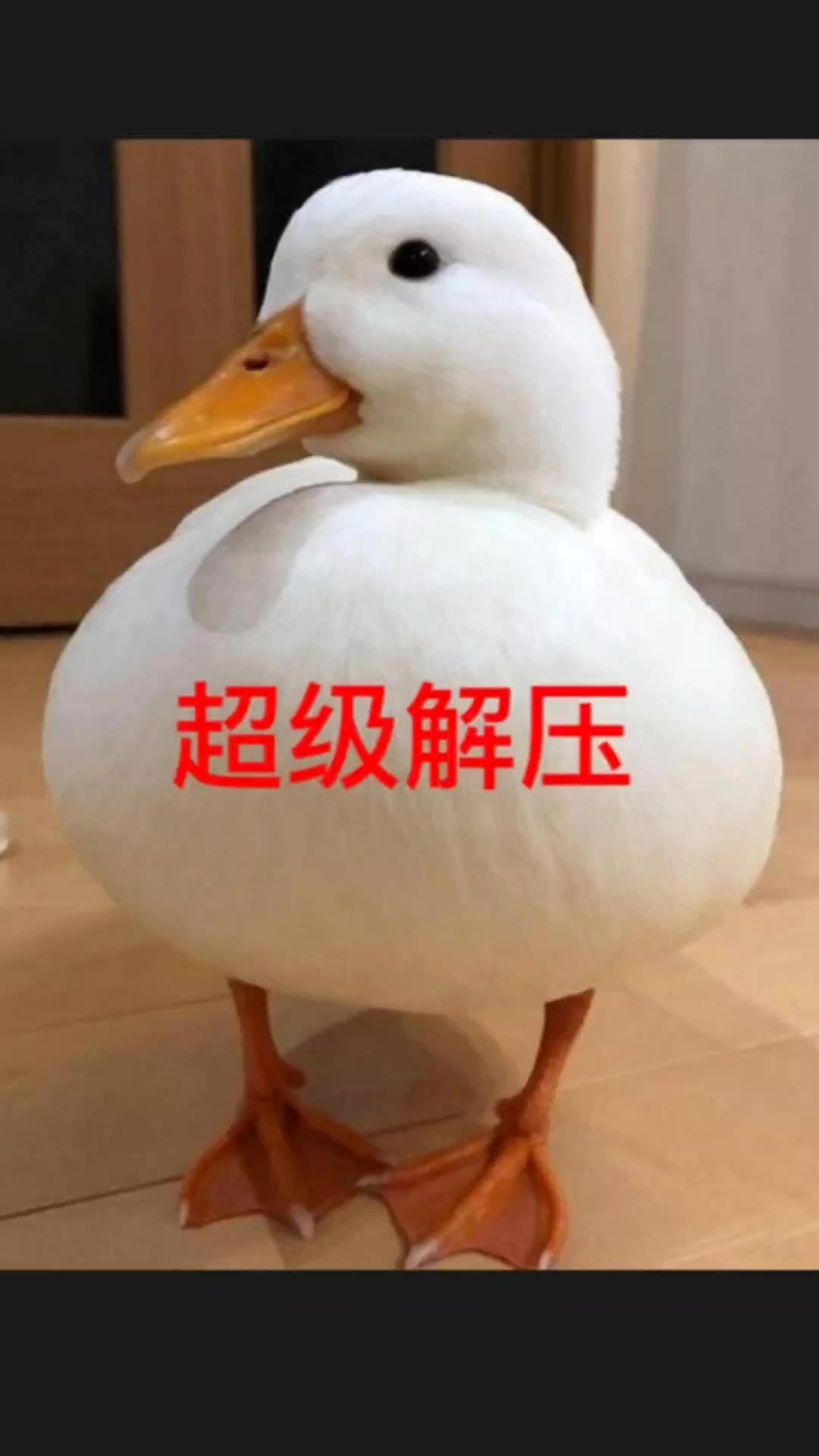 男人的脚上长了一个鸡眼