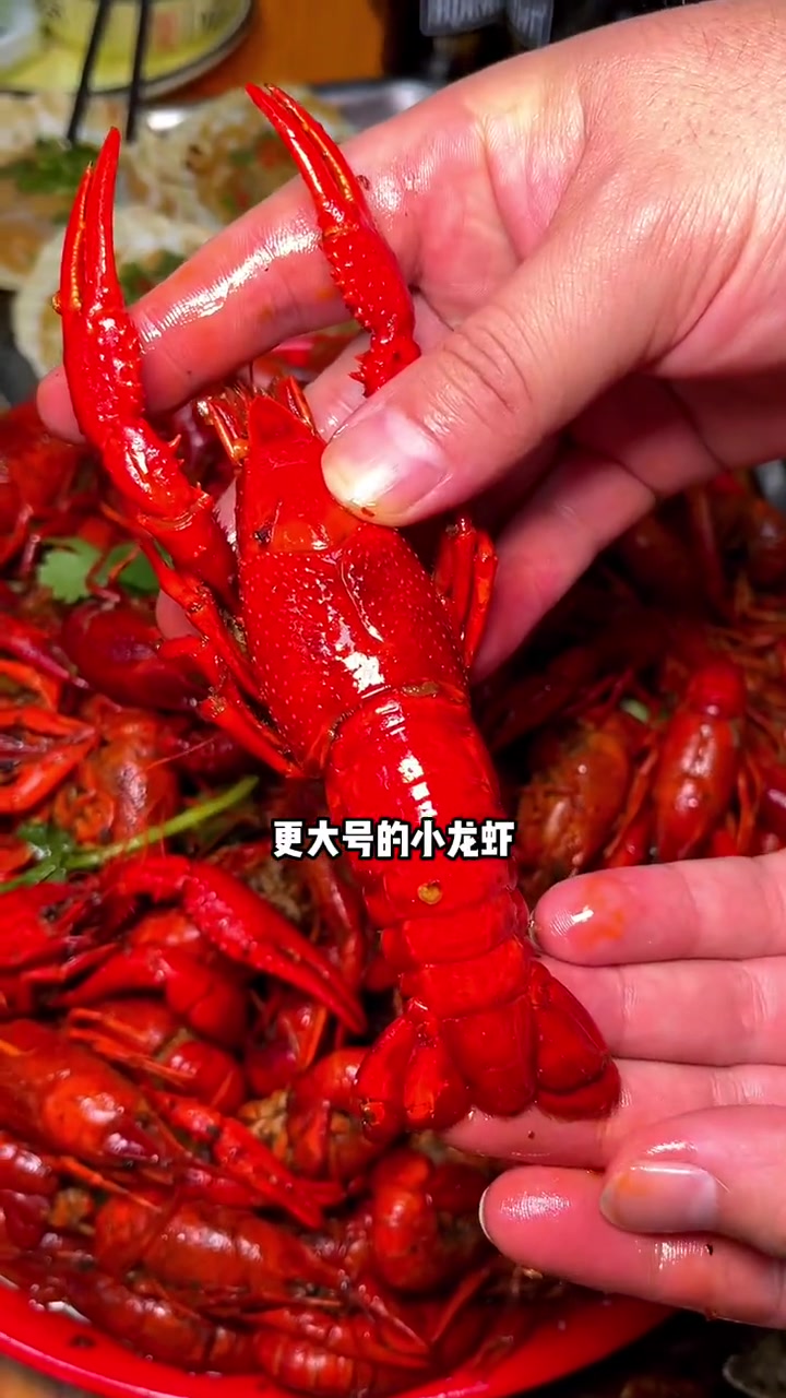 在厦禾路的这家洞氮胡记居然98就可以拥有5斤足称的小龙虾,太香了吧 520心动美食 吃龙虾