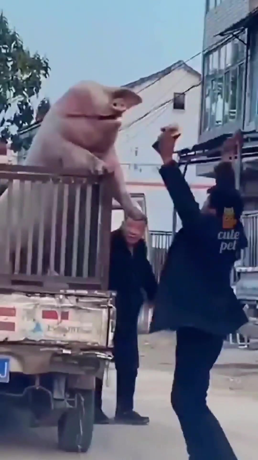 川菜馆鲁菜馆川渝食府小吃店铺美食店铺门头修图P图外卖门面修改