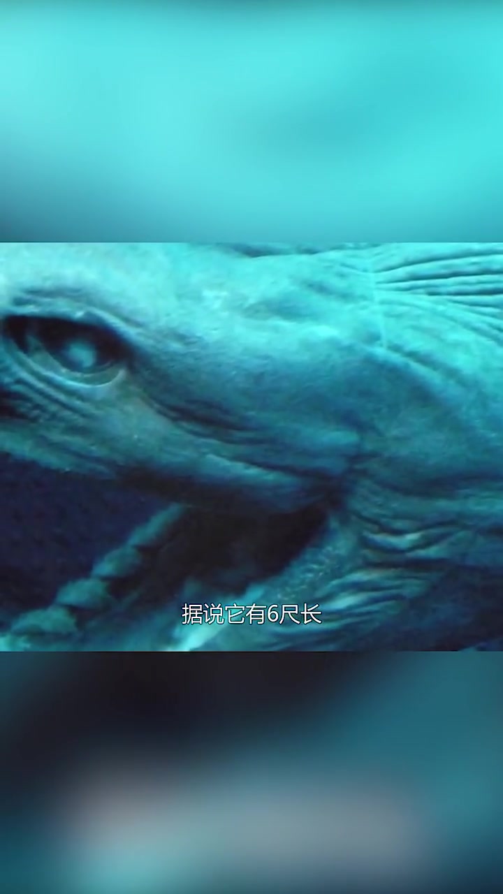 世界上最奇怪的史前鲨鱼,你绝对没见过